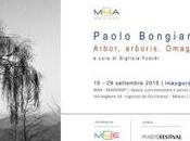 Milano: paolo bongianino arbor, arboris. omaggio all’albero della vita