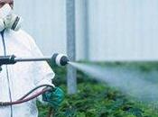 pesticidi aumentano rischio diabete