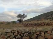 L’astensione numeri governare sonetto Jena Camuna