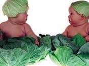 dieta vegan dalla nascita un’altro terrorista