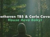 Beethoven TBS: tracce compilation Mania