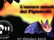 L’oscuro mondo Pipistrelli Ottobre 2015