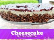 Cheesecake senza cottura allo yogurt ricotta (con agar agar)