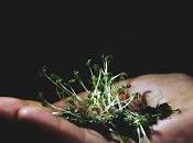 PAVIA. Mostra fotografica Broletto: frutti territorio... della solidarietà"