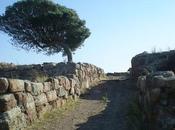 particolare sito archeologico Monte Sirai (Foto...