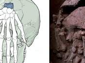 misteri primo decapitato d'America. Scoperto Brasile cranio 9.000 anni coperto entrambe mani mozzate disposte senso opposto. era, perché stato ridotto così dov'è resto corpo?