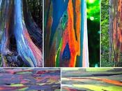 28/09/2015 Perdersi ritrovarsi nello spettacolo della natura