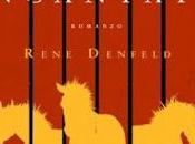 libreria: questo luogo incantato” Rene Denfeld, inno alla potenza sentimenti