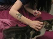 rientro gatti, camicie vichy ancora gatti)