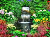 Costruiamo piccolo angolo paradiso, consiglio settimana migliorare propria vita quella altrui