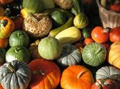 Ottobre, mese della zucca