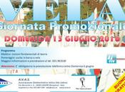 Associazione Velica Alto Sebino