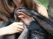 Perché bonobo salveranno (ndr: “potrebbero salvare!”) mondo