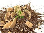 Bombarda fiori) città