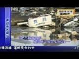 STORIA ECCEZIONALE GIAPPONE MEZZO CATASTROFE: CANE MUOVE PERCHé L'AMICO FERITO