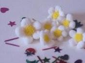 Margheritine primavera