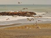 Photos month [March]