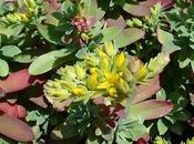 nube nucleare passa sopra nostra testa, vita continua...