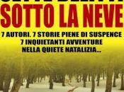 Anteprima: "SETTE DELITTI SOTTO NEVE" AA.VV.