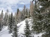 Sette cose fare sulle Dolomiti bellunesi