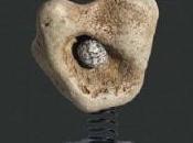 PAVIA. sculturore Christos Barlos Collegio Valla fino domenica prossima.