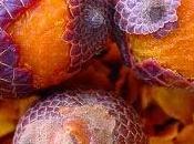 Olio Buriti, complemento cosmetico eccellente