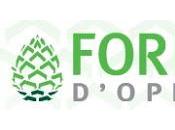 Foresta d'Opinioni: Disponibilità Banner