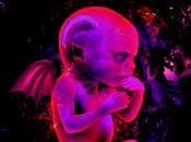 GOBLIN REBIRTH nuovo album Goblin Recensito Amedit