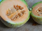 L’ultimo melone