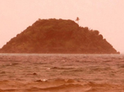 giraffa bianca Videoarte Biblioteca