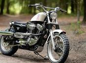 Harley 1200C Scrambler Hageman Motorcycles