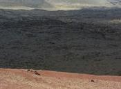 Lanzarote, viticoltura eroica suggestioni culinarie/1