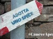 Cembra: Caneve Aperte