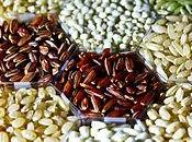 scuola cucina tipi riso