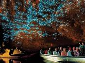Glowworm Caves grotta delle Lucciole) dette anche Waitomo Nuova Zelanda