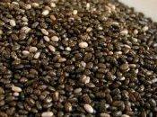 potere semi chia nuova stella superalimenti