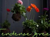 Tendenze green: fiori piante decorano sfidando gravità