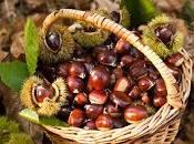 Autunno: fare pieno Castagne salute