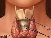 MILANO. Ricercatori italiani presentano studio trattamento del’ipotiroidismo Congresso dell’American Thyroid Association.