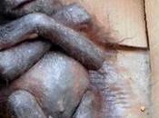 Effetti quelle schifezze chiamate nutella merendine