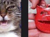 PAVIA. palline micio-solidali forma gattino aiutare "Gran Hotel gatti" Sergio Anita.