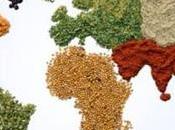 MILANO. EXPO: Coldiretti/Ixé critici troppa virtualità pochi servizi: conoscenza delle cultura cibo (38%).