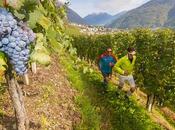 Eventi Valtellina: novembre natura, sport cucina