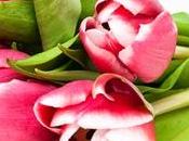 Fiori recisi, consigli casalinghi