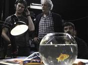 Throwback pesce nome Boris