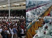 Oggi ultimo giorno dell’Expo aspetto prossimo!