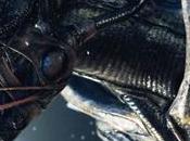 cinque giochi Oculus Rift provare Halloween