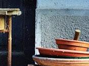 SEGNALAZIONE terremoto Borgo Propizio Loredana Limone