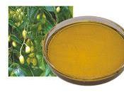 Guida all'olio neem pelle capelli