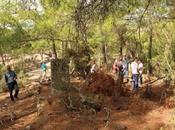 Turchia, scoperta un'area religiosa Monte Latmos